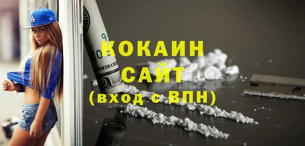 хмурый Арсеньев
