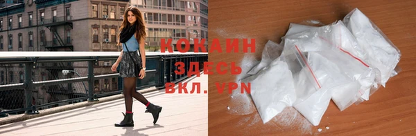 хмурый Арсеньев