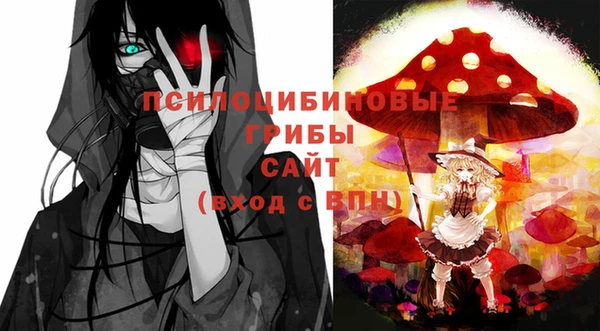 МДПВ Армянск
