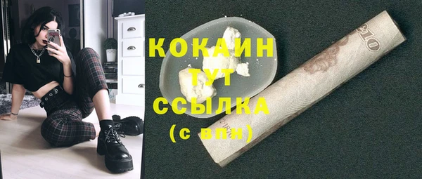 хмурый Арсеньев