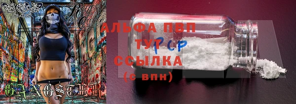 хмурый Арсеньев