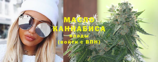 индика Пересвет