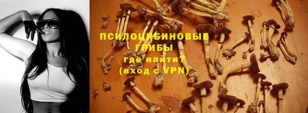 хмурый Арсеньев