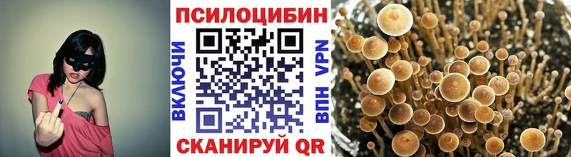 Галлюциногенные грибы прущие грибы Медвежьегорск