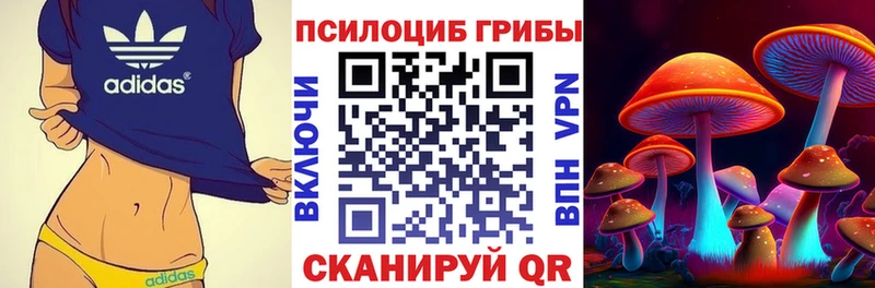 где купить Медвежьегорск Галлюциногенные грибы Cubensis